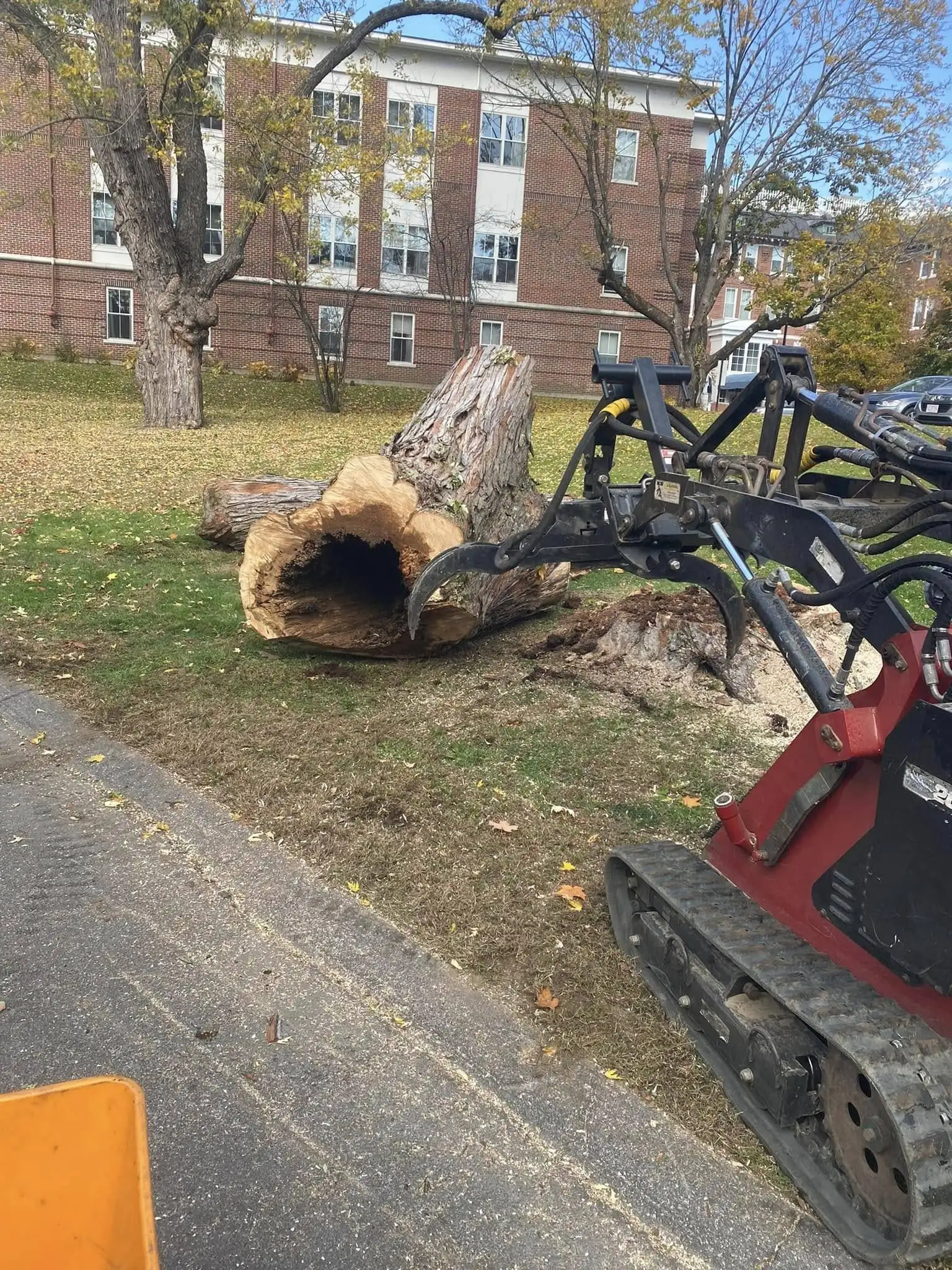 Hazardous Tree Removal