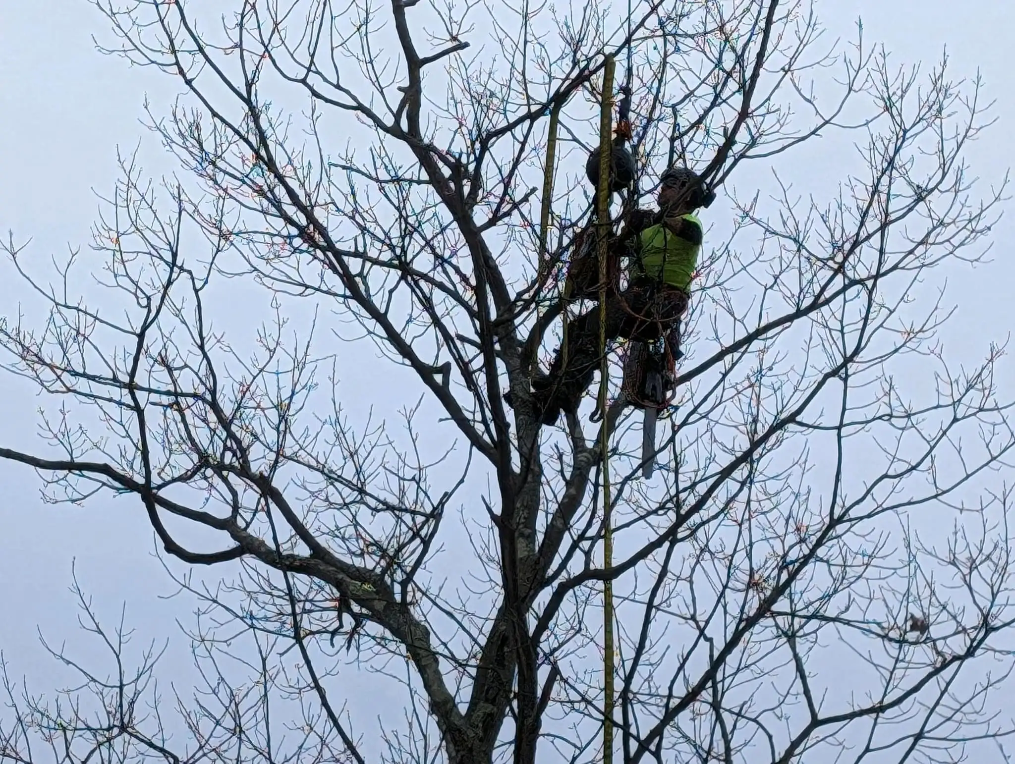 Climbing 2