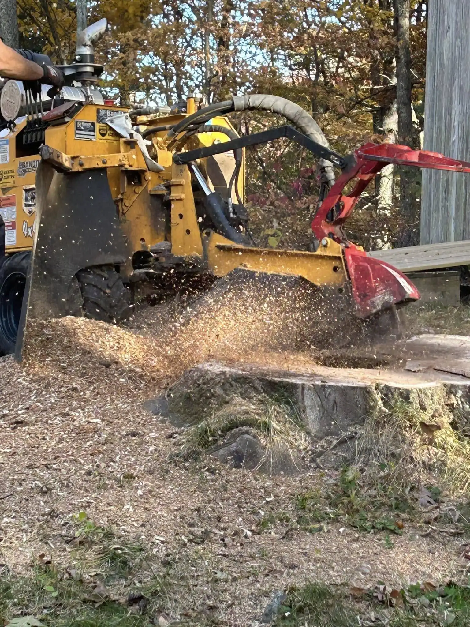 Stump Grinding