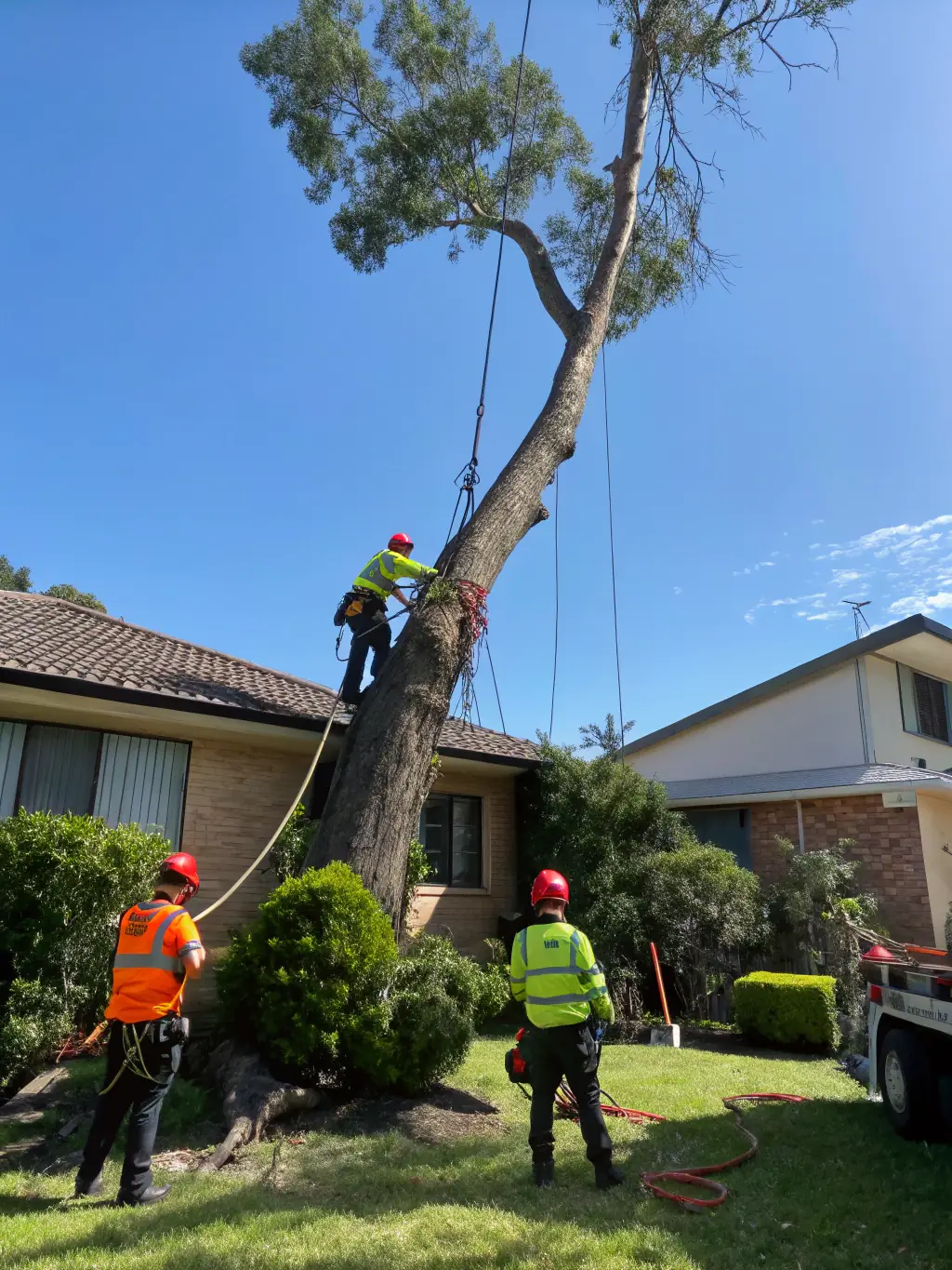 A large tree has fallen across a residential driveway, completely blocking access. The image should convey the urgency and inconvenience of the situation, highlighting the need for immediate tree removal services.