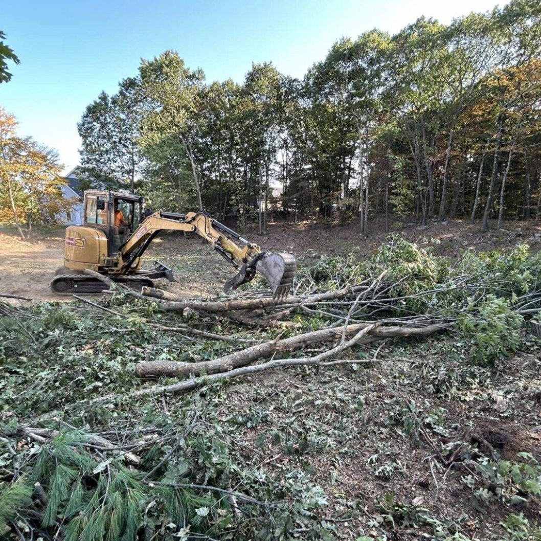 land clearing